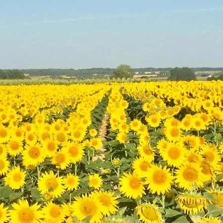 Domaine D'or Bed and breakfast Brettes